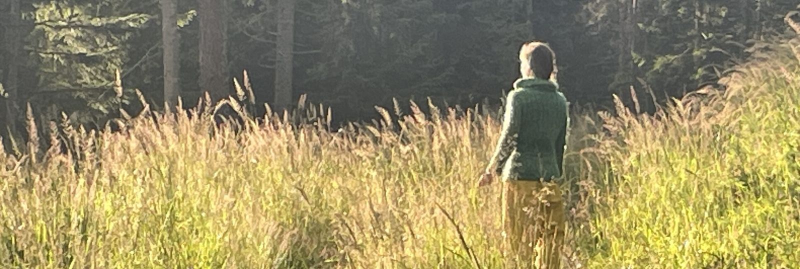 Ein Mensch im grünen Pullover steht in einer goldenen Wiese